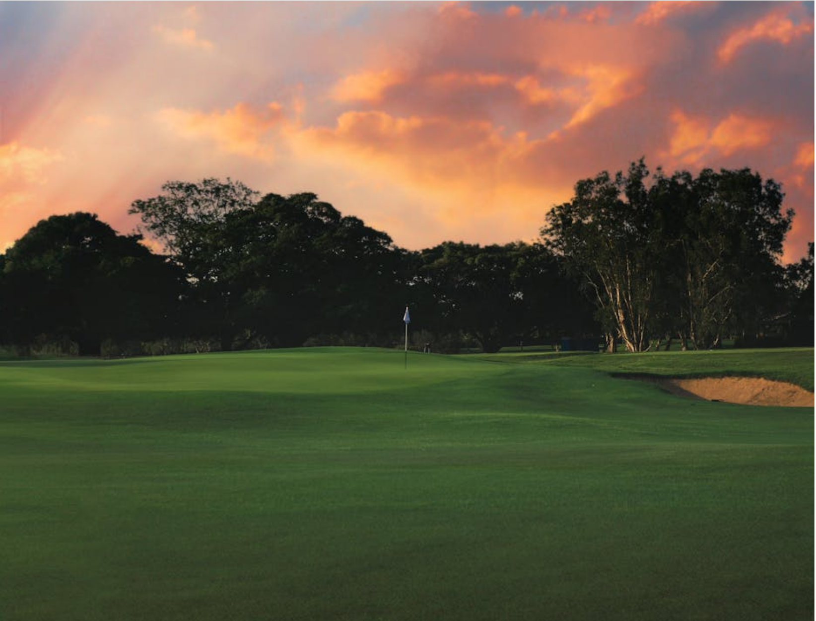 Préférences golfiques