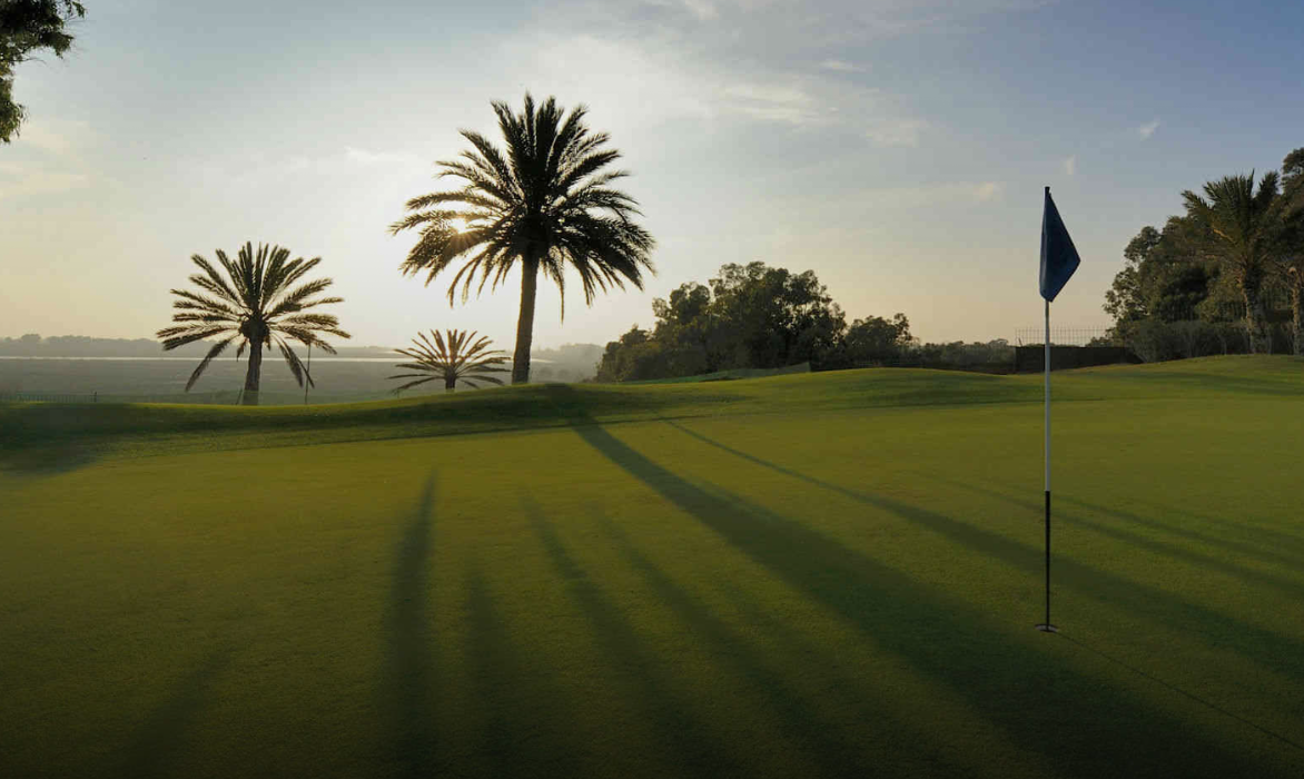 Green and flag in low sunlight, palm trees against the light