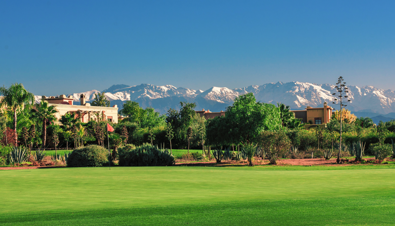 Marrakech golf course lined with villas and palm trees, the snow-capped Atlas behind