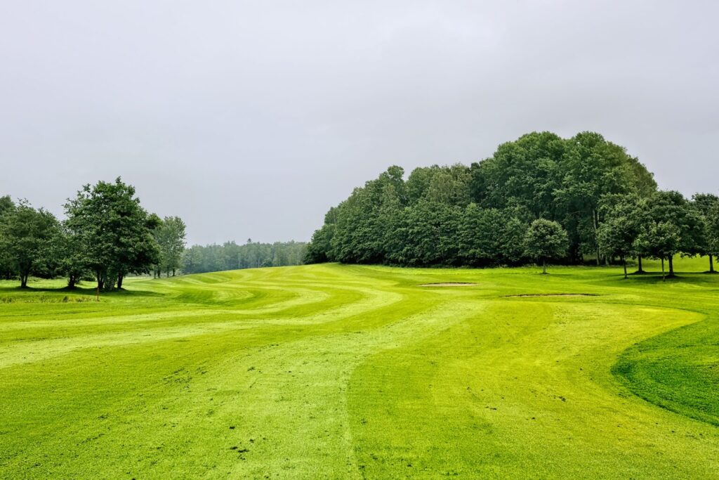 Fairway d'un parcours de golf bordé d'arbres, green en fond