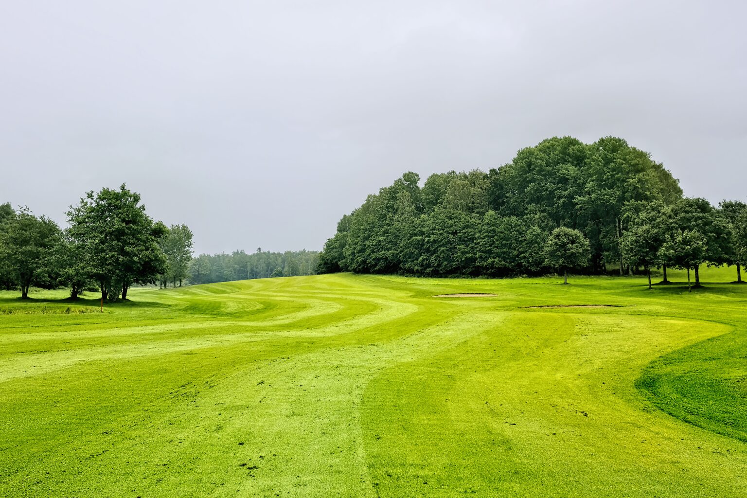 Fairway d'un parcours de golf bordé d'arbres, green en fond